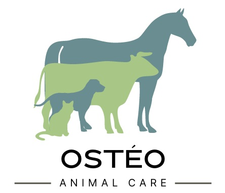 Logo Ostéo